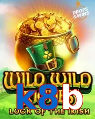 k8b